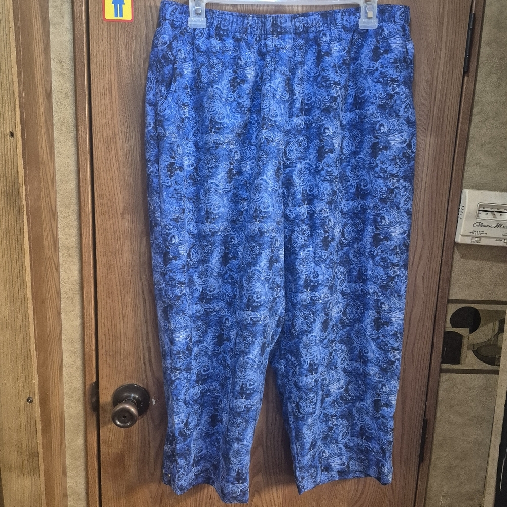 Allison Daley Indigo Paisley Elastic Waist Pants.   Box 39